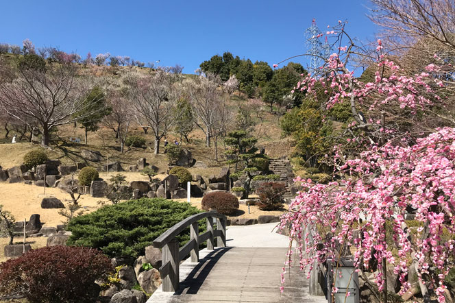 冠梅園(冠山総合公園)